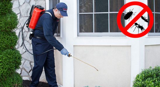 Kızılırmak Böcek İlaçlama böcek ilaçlama ve haşere kontrolü — ilaclama-tr.com